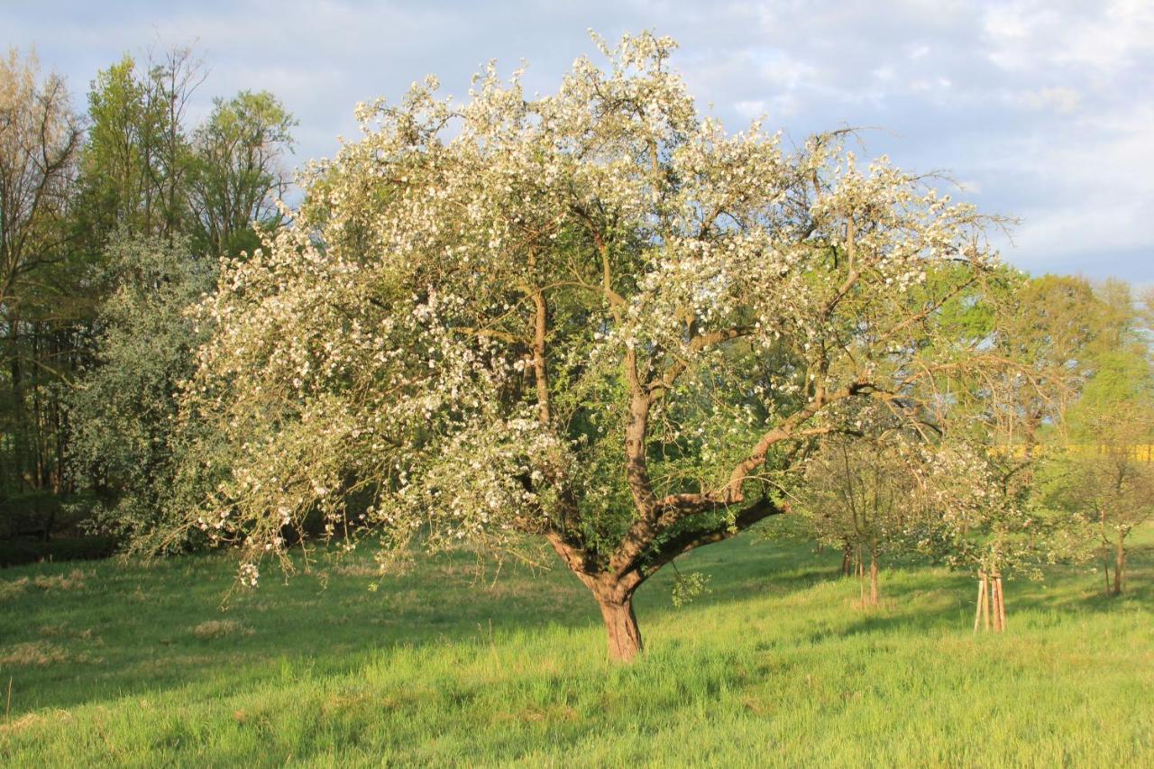 Apfelscheune Cannewitz Malschwitz Buitenkant foto
