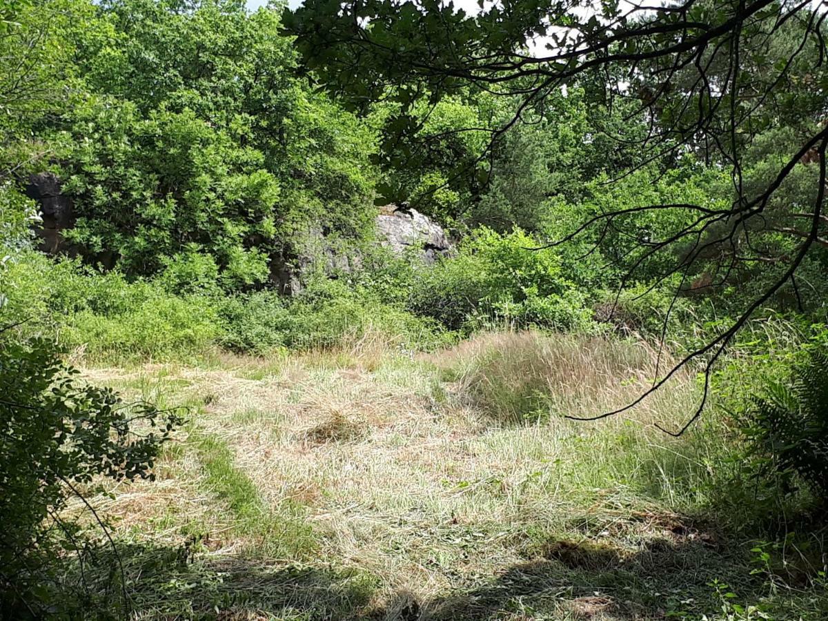 Apfelscheune Cannewitz Malschwitz Buitenkant foto