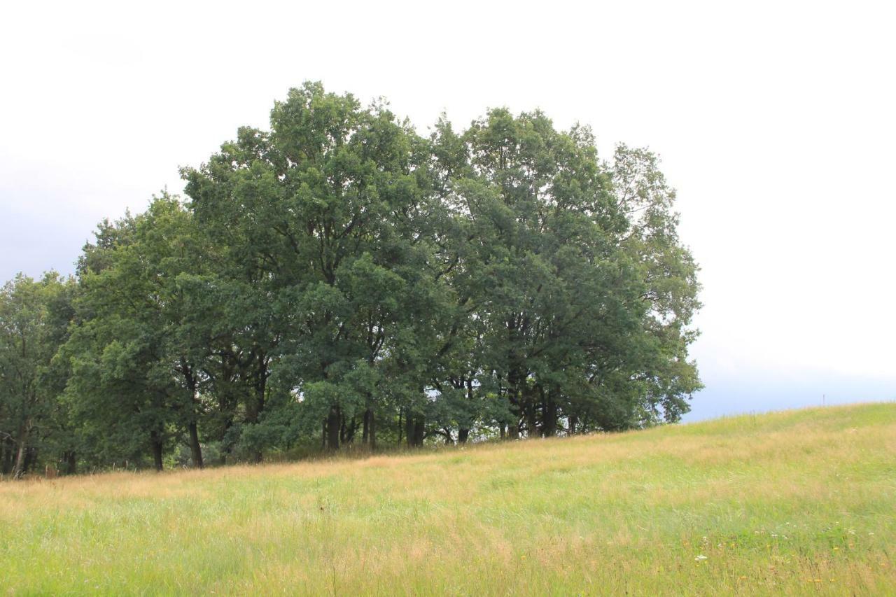 Apfelscheune Cannewitz Malschwitz Buitenkant foto